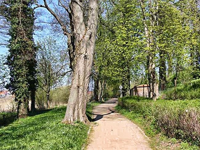 Malchow nützliche TourismusInformationen