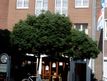 Hotel am Rathaus