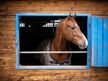 Reitsport am Hotel Alter Landsitz