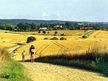 Naturpark Mecklenburgische Schweiz und Kummerower See