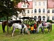 Reiterhof auf dem Landgut Oberhof