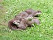 Tierpark Wolgast