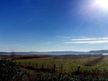 Selliner See