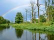 Die Peene