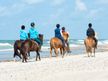 Reiten/ Strandausritte auf der Insel Sylt