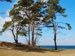 Lubminer Heide