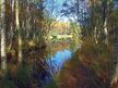Schulungs- und Informationszentrum "Wald und Moor"