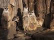 Tierpark Greifswald