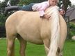 Reitanlage Biohof Donst