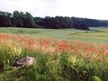Eiszeitroute von Feldberg nach Fürstenberg