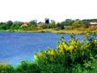 Stadtsee Woldegk