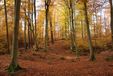 Nationalpark-Ausstellung Serrahn