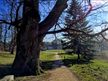 Schlosspark Putbus