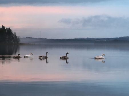Verwöhntage – Wochenendangebot im November Verwöhntage – Wochenendangebot im November