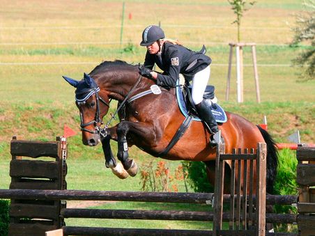Reitsportanlage Robinson Reitsportanlage Robinson