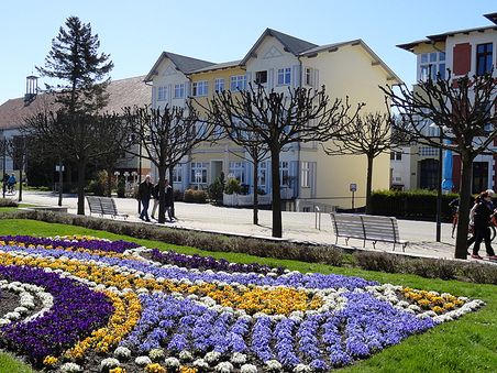 Angebot zu Pfingsten Angebot zu Pfingsten