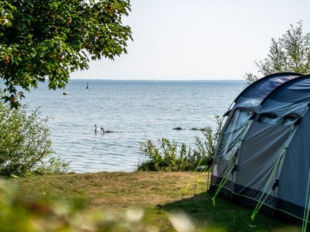 Müritzcamp Gotthun Müritzcamp Gotthun