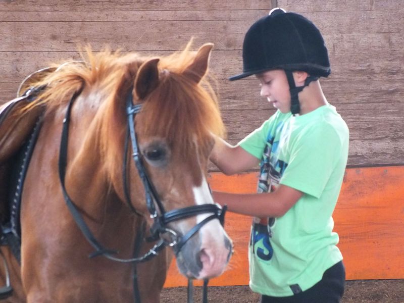 Reiten auf dem Landgut Lischow Reiten auf dem Landgut Lischow